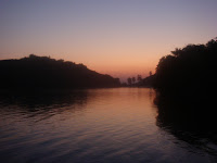 River Tern Resort,Jungle Lodges and Resorts,Bhadra